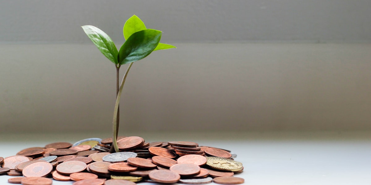 Coins with a small plant sprouting from them, representing steady credit growth and banking sector resilience